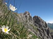 Prima salita in Grignetta (Grigna Meridionale) dal Pian dei Resinelli sul sentiero 7 Cresta Cermenati il 21 giugno 2010 - FOTOGALLERY